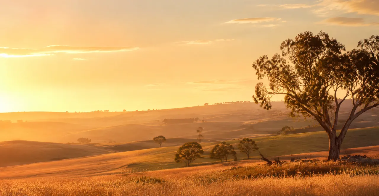 Golden-hour hills of Central West New South Wales